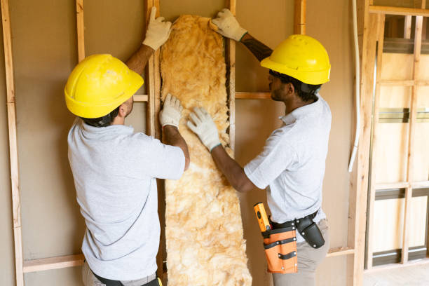 Best Home Insulation Services  in Osburn, ID